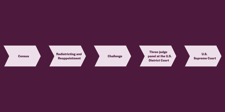 Infographic showing the Procedural History of Voting Rights Cases, starting with Census, then Redistricting and Reapportionment, then Challenge, then Three-judge panel at the U.S. District Court, and ending with the U.S. Supreme Court.