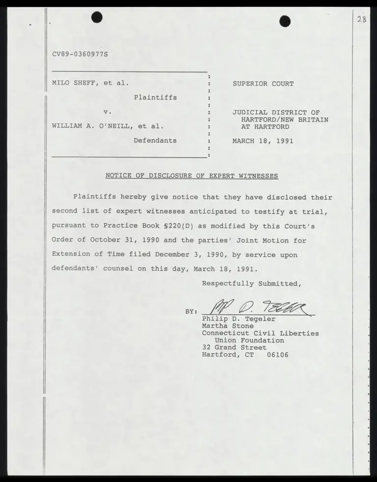 Notice of Disclosure of Expert Witnesses preview
