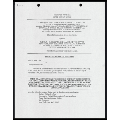 Affidavit of Service by Mail Brief of Amicus Curiae PRIDE et al. preview