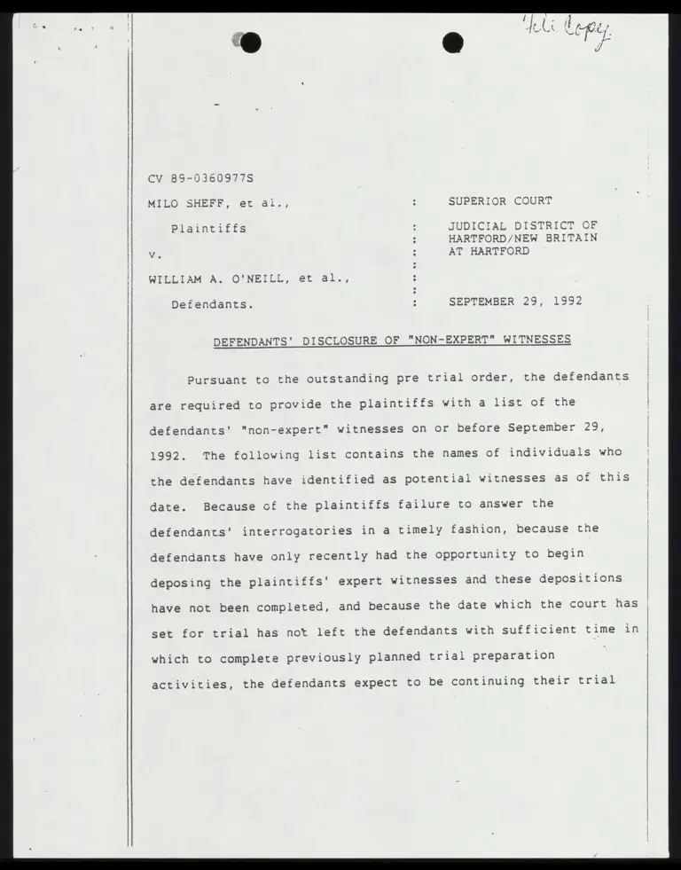 Defendants' Disclosure of "Non-Expert" Witnesses preview