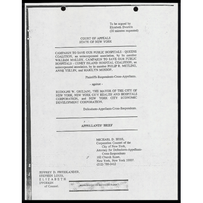 Appellants' Brief preview
