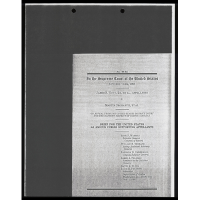Brief Amicus Curiae Supporting Appellants preview