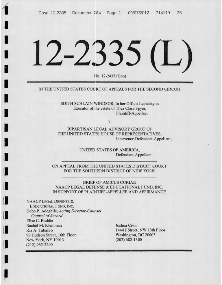 Windsor v. Bipartisan Legal Advisory Group of the U.S. House of Representatives Amicus Curiae Brief preview