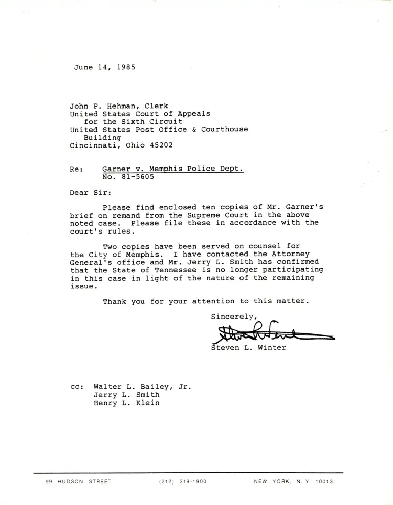 Brief for Plaintiff-Appellant on Remand from the US Supreme Court preview