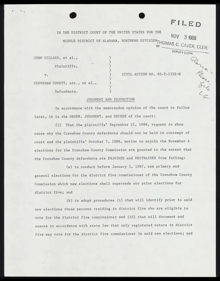 Judgment and Injunction preview