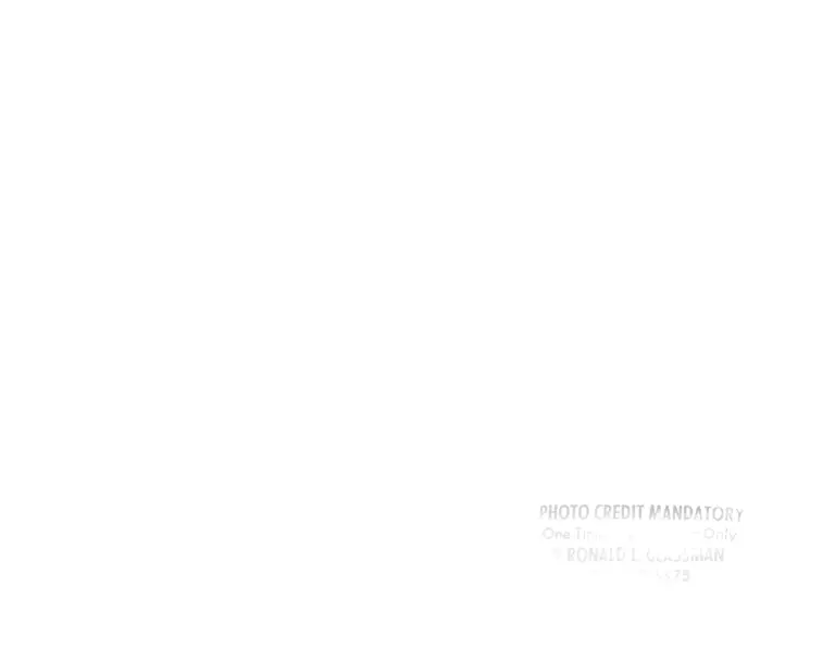LDF 50th Anniversary, 1990 - 6 of 27 (back) preview