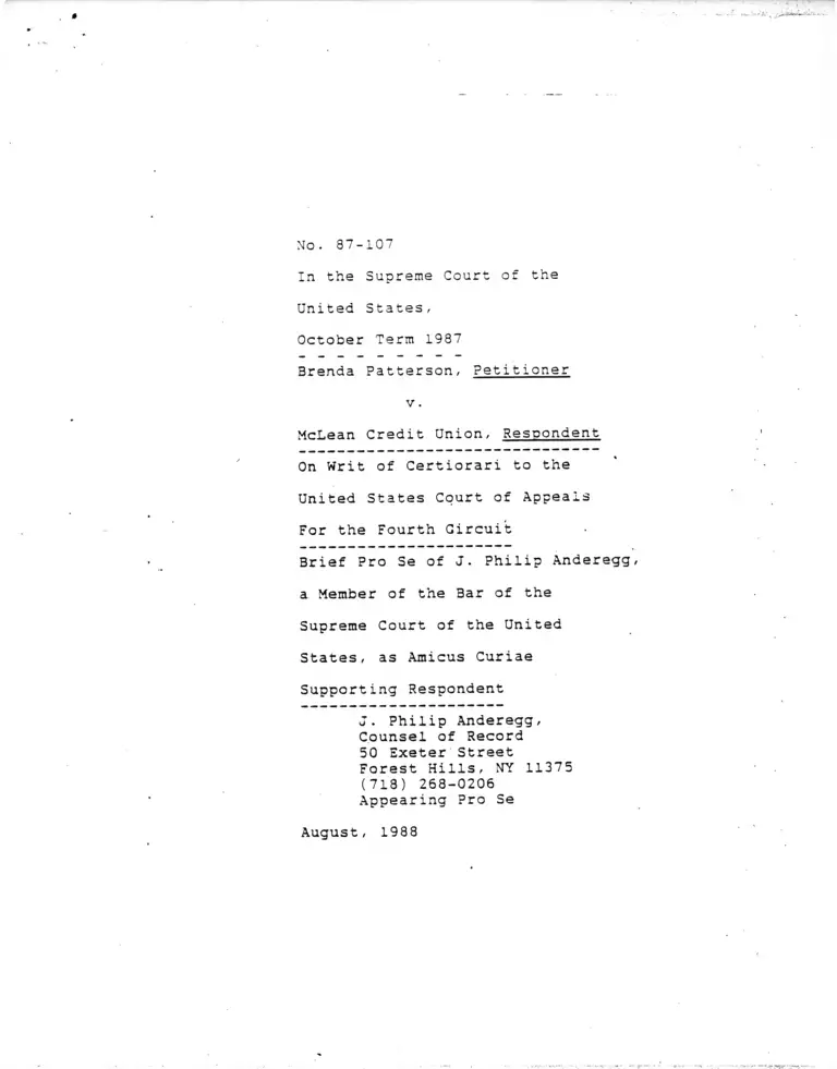 Patterson v. McLean Credit Union Brief Pro Se Amicus Curiae preview