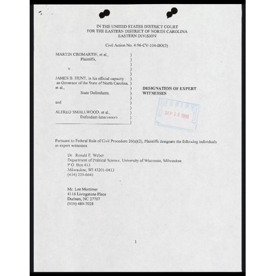 Designation of Expert Witnesses preview