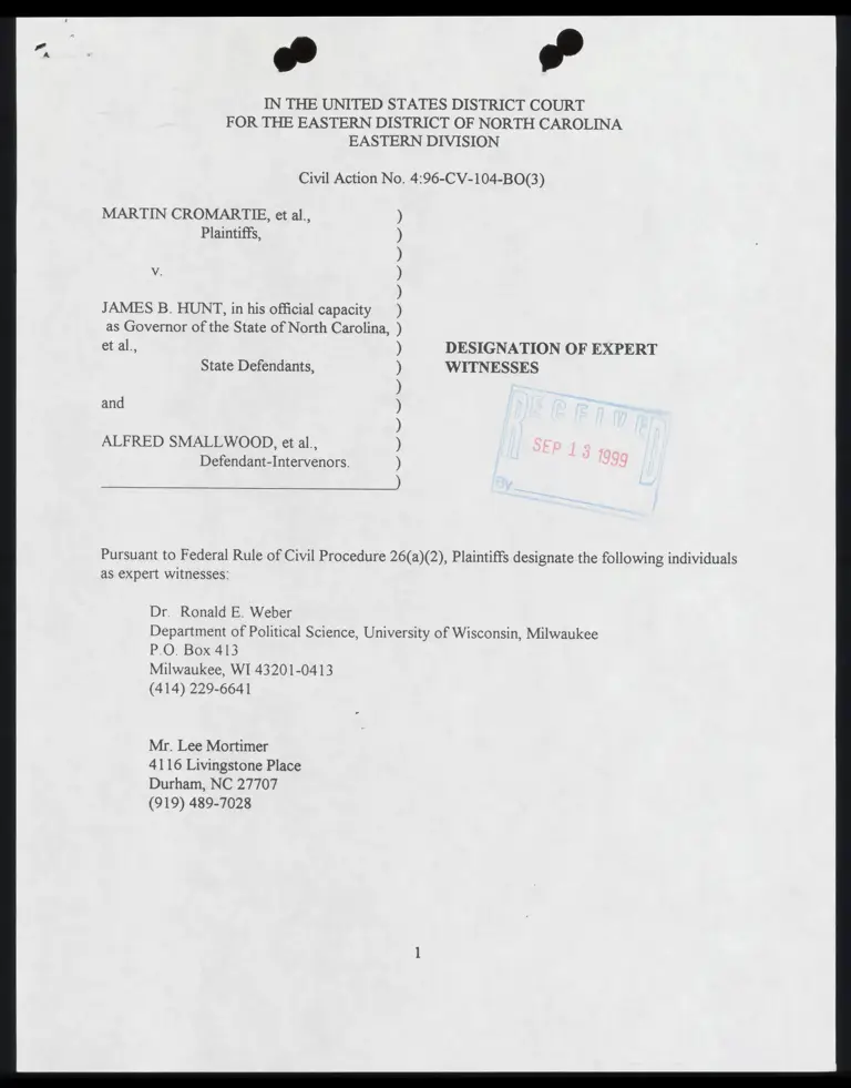 Designation of Expert Witnesses preview