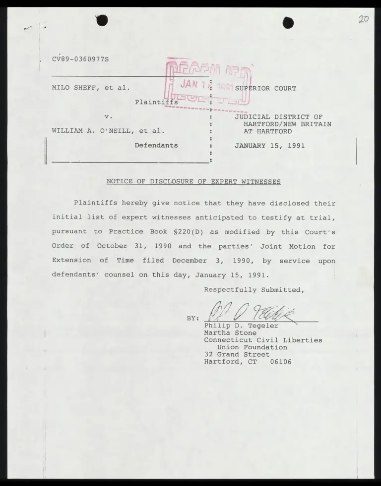 Notice of Disclosure of Expert Witnesses preview