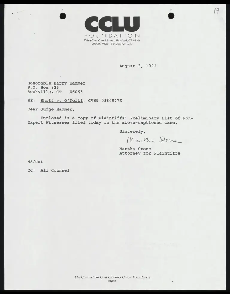 Plaintiffs' Preliminary List of Non-Expert Witnesses preview