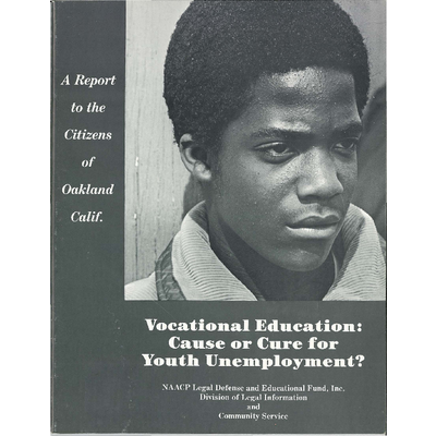 Vocational Education: Cause or Cure for Youth Unemployment? preview