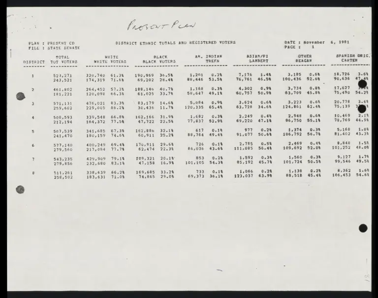 District Ethnic Totals and Registered Voters preview