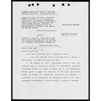 Affidavit of Service of David Love preview