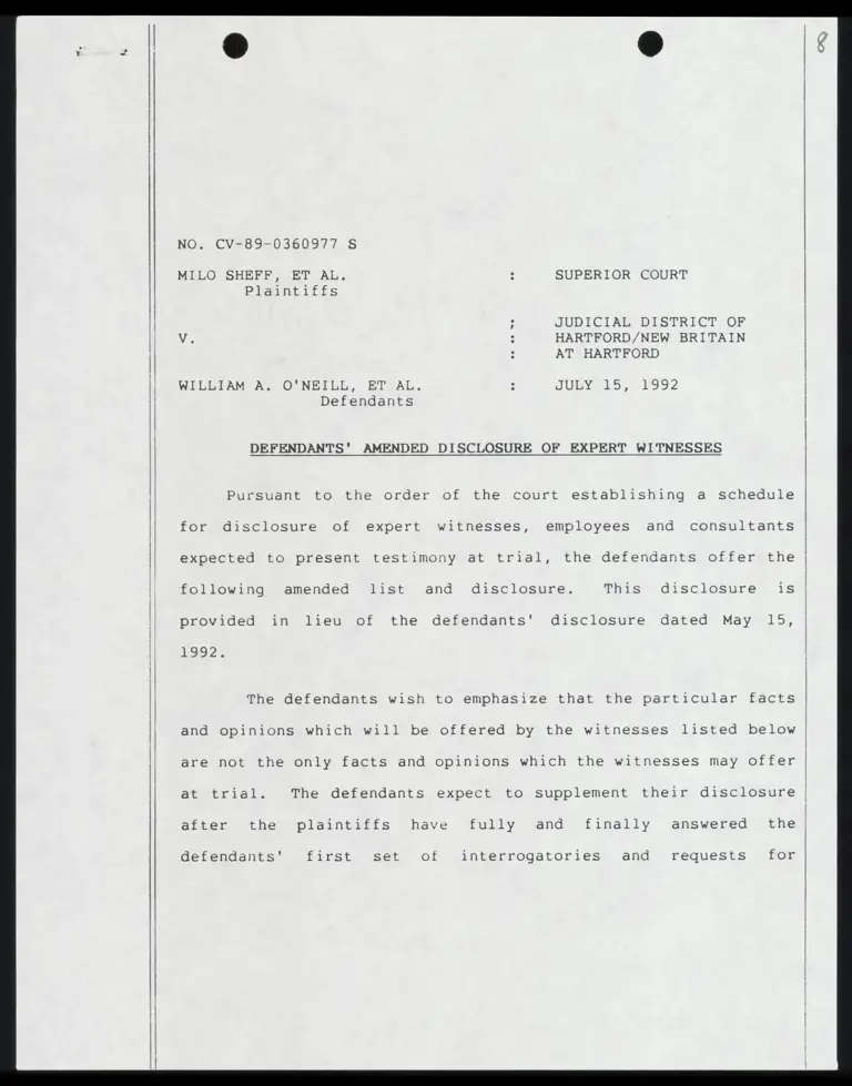 Defendants' Amended Disclosure of Expert Witnesses preview