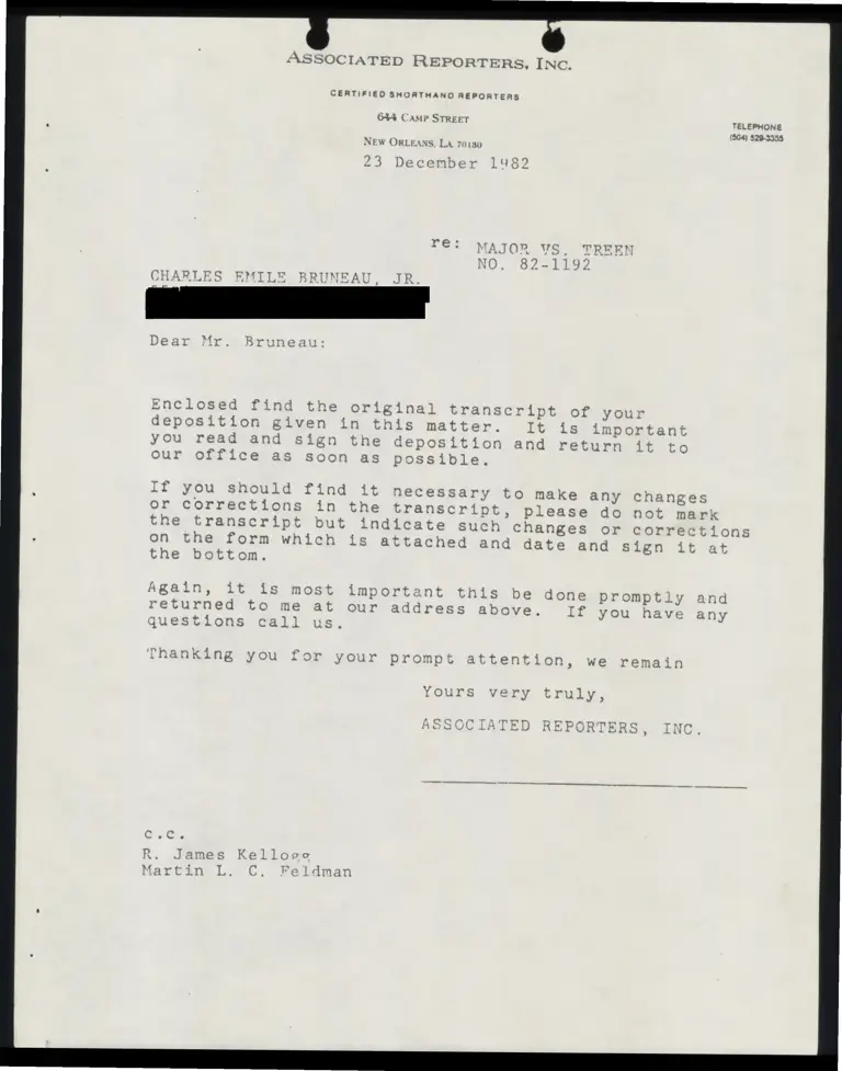 Deposition of Charles Emile Bruneau, Jr. (Redacted) preview