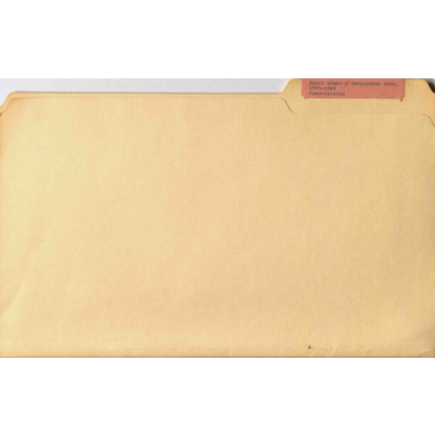 Black Women's Employment Project Fundraising and Proposal (Folder) preview