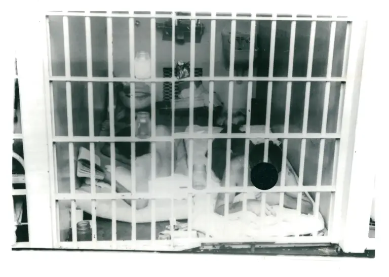 Pitts and Lee Case, 1971, 1975, undated - 5 of 9 preview