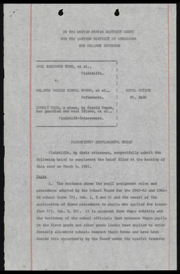 Plaintiffs' Supplemental Brief preview