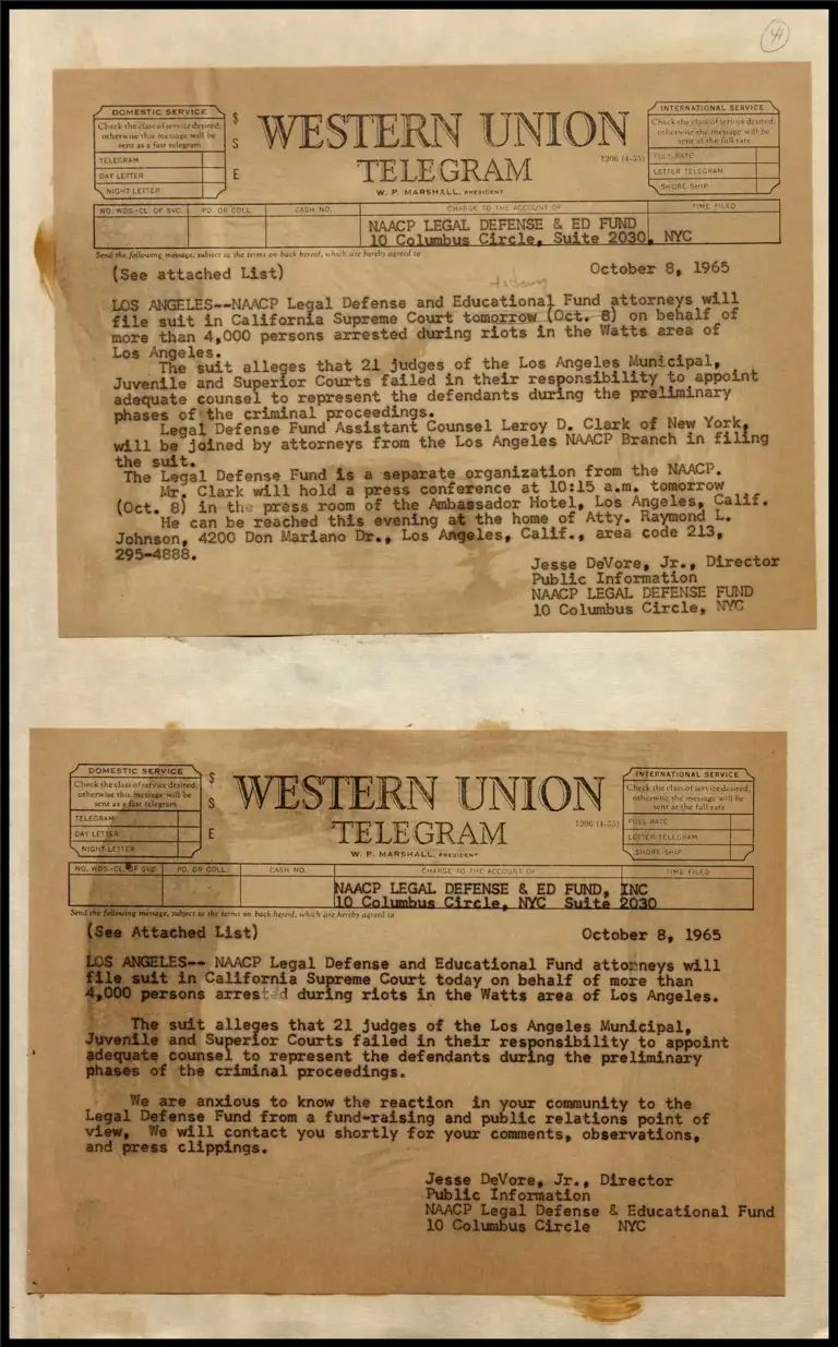 LDF on Behalf of Watts Rioters (Telegram) preview