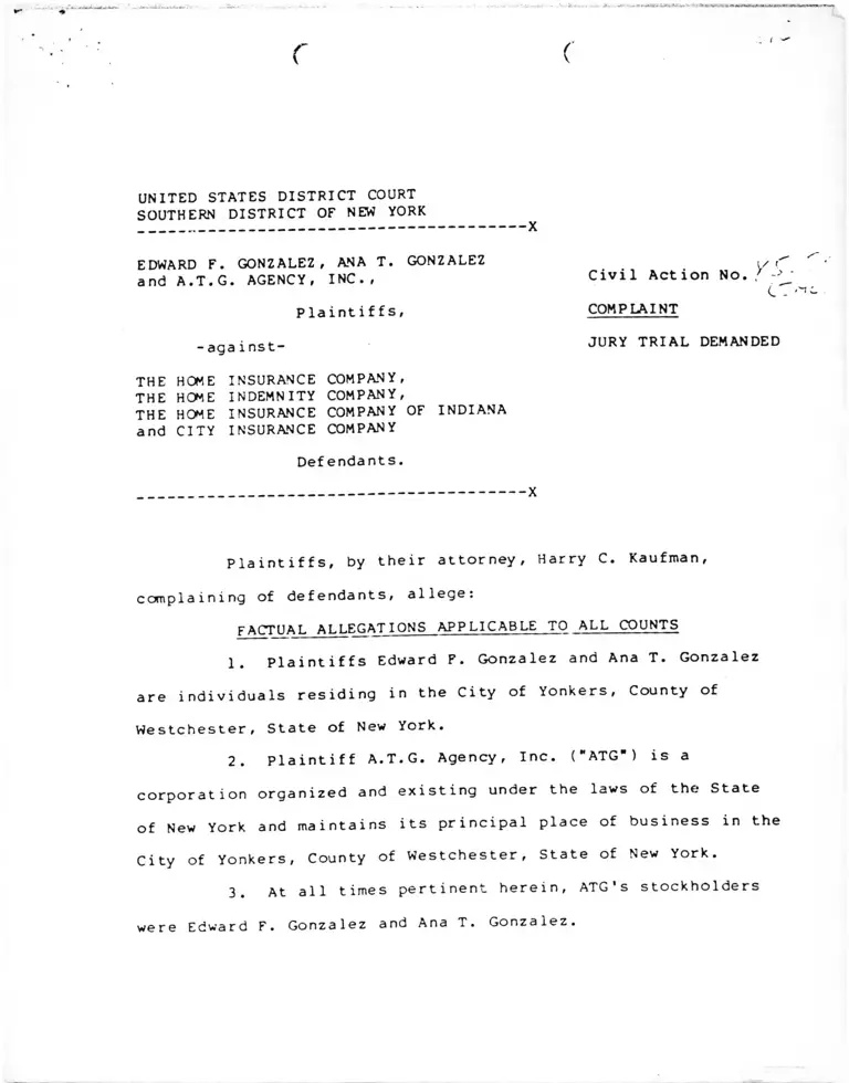 Gonzalez v. The Home Insurance Company Complaint preview