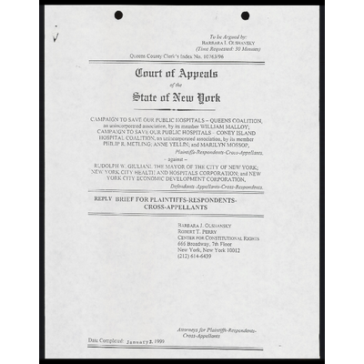 Reply Brief for Plaintiffs-Respondents-Cross-Appellants preview