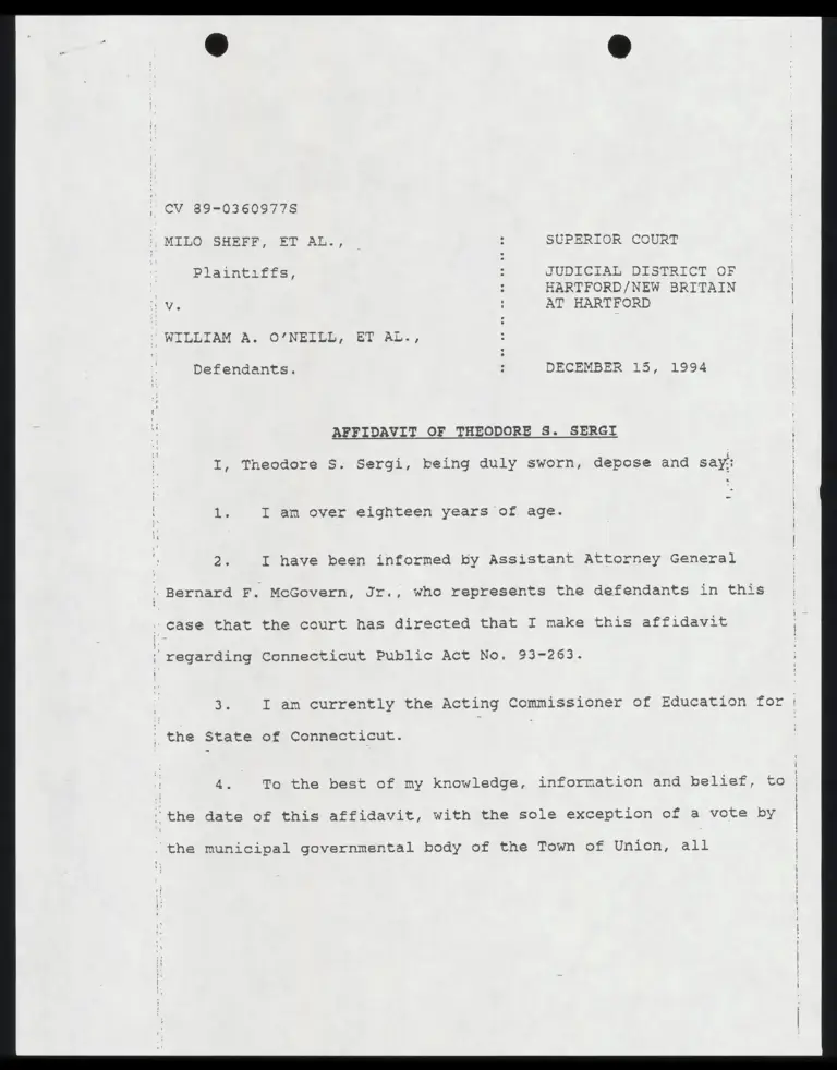 Affidavit of Theodore S. Sergi preview