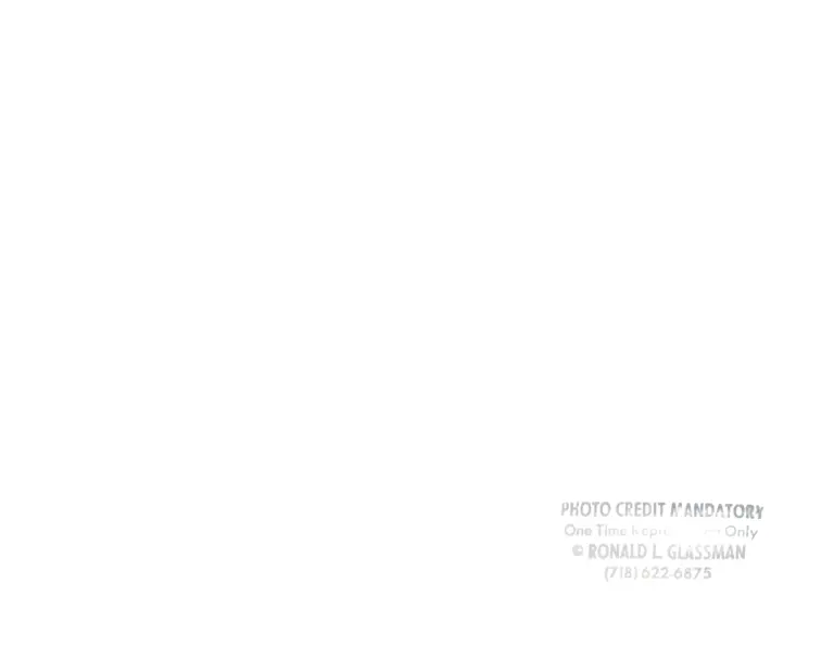 LDF 50th Anniversary, 1990 - 19 of 27 (back) preview