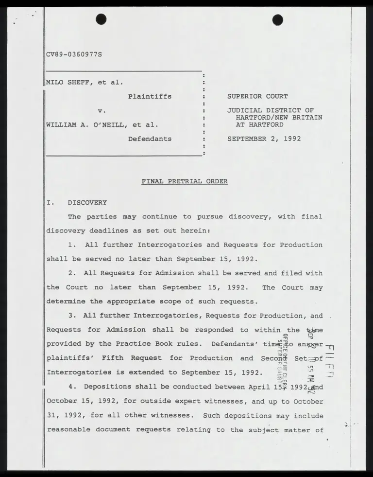 Final Pretrial Order preview