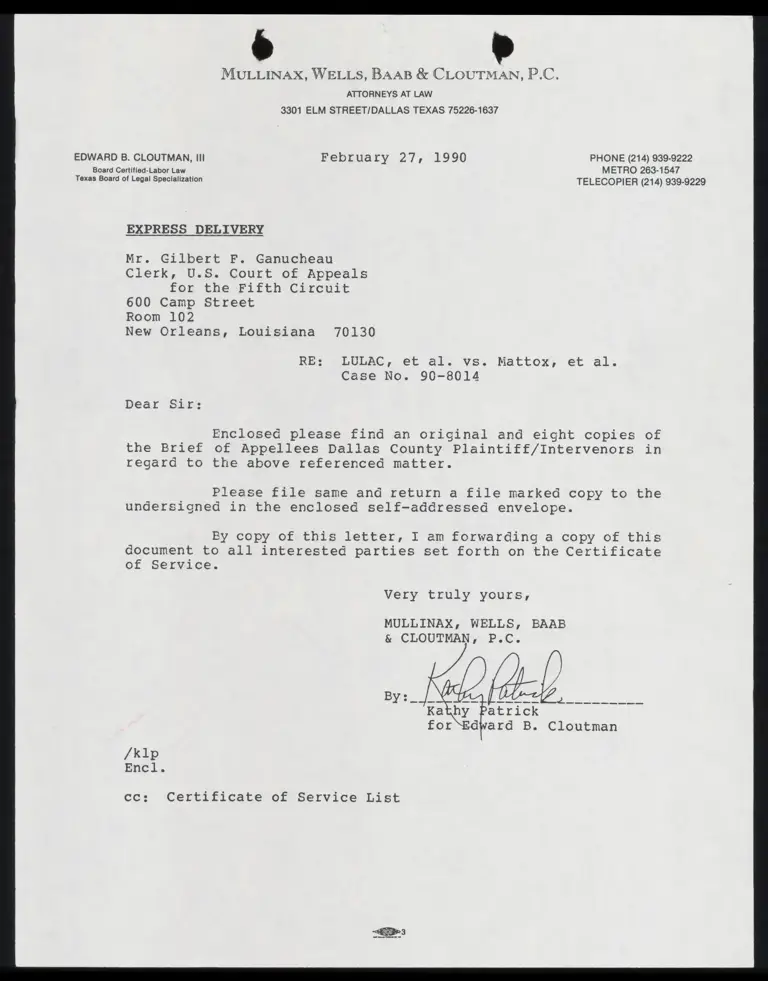 Brief of Appellees Dallas County Plaintiff/Intervenors preview