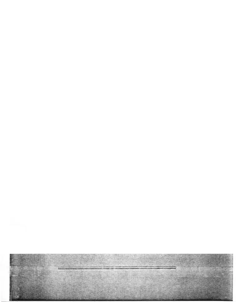Gonzalez v. The Home Insurance Company Brief of Defendants-Appellees preview