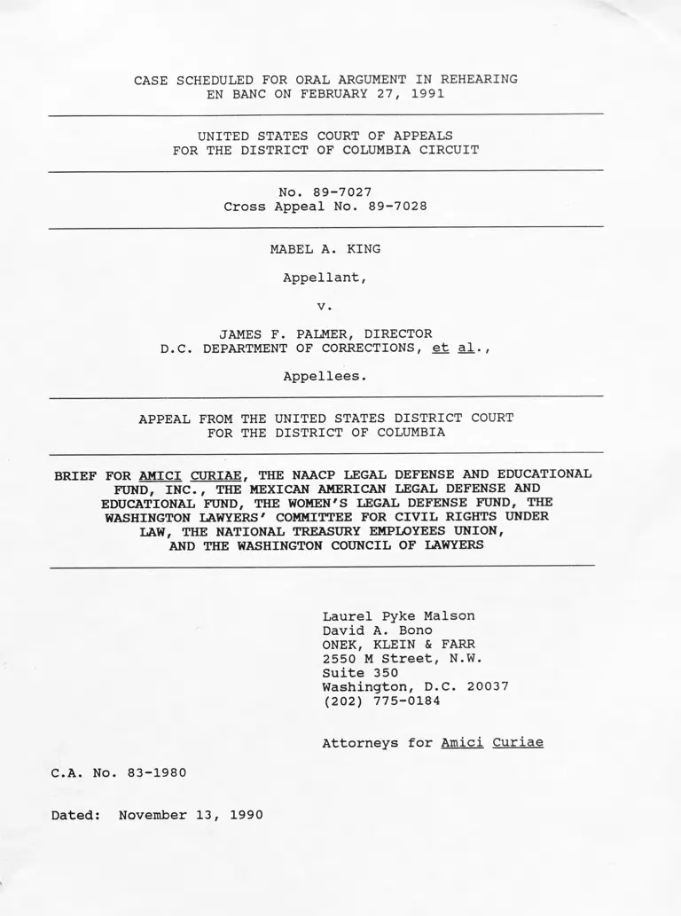 King v. Palmer Brief Amici Curiae preview