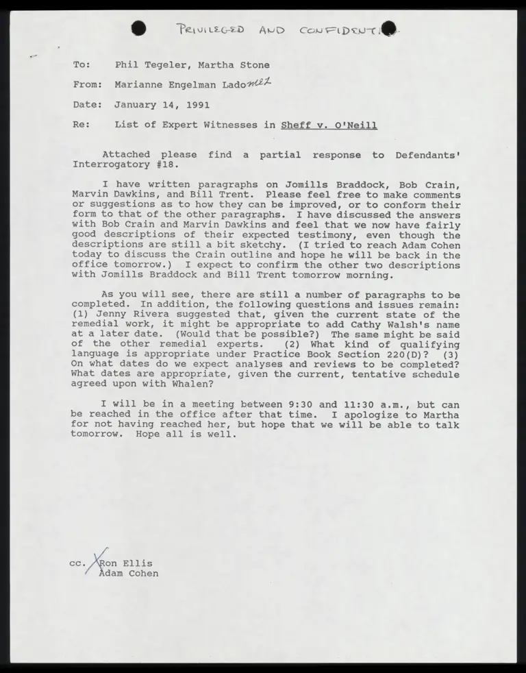 Correspondence from Lado to Tegeler and Stone Re: List of Expert Witnesses with Draft preview