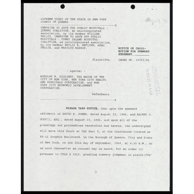 Notice of Cross-Motion for Summary Judgment; Affidavit of David R. Jones; Affirmation of Rachel D. Godsil preview