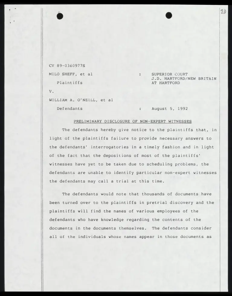 Preliminary Disclosure of Non-Expert Witnesses preview
