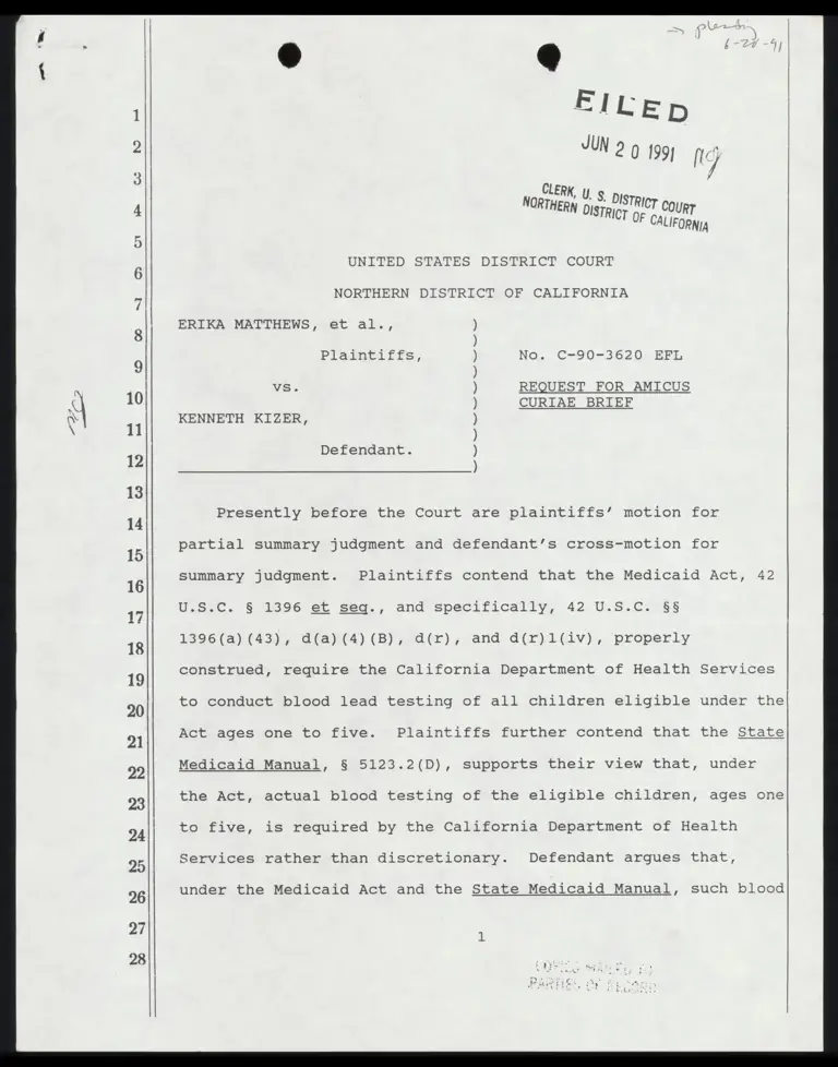 Request for Amicus Curiae Brief preview