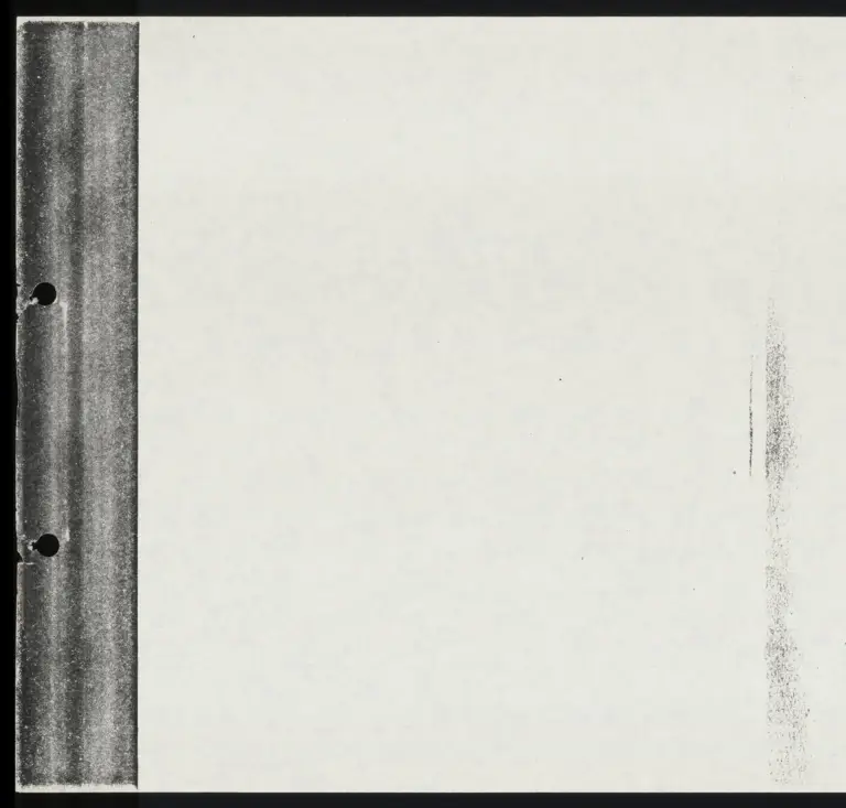 Appendix Volume II preview